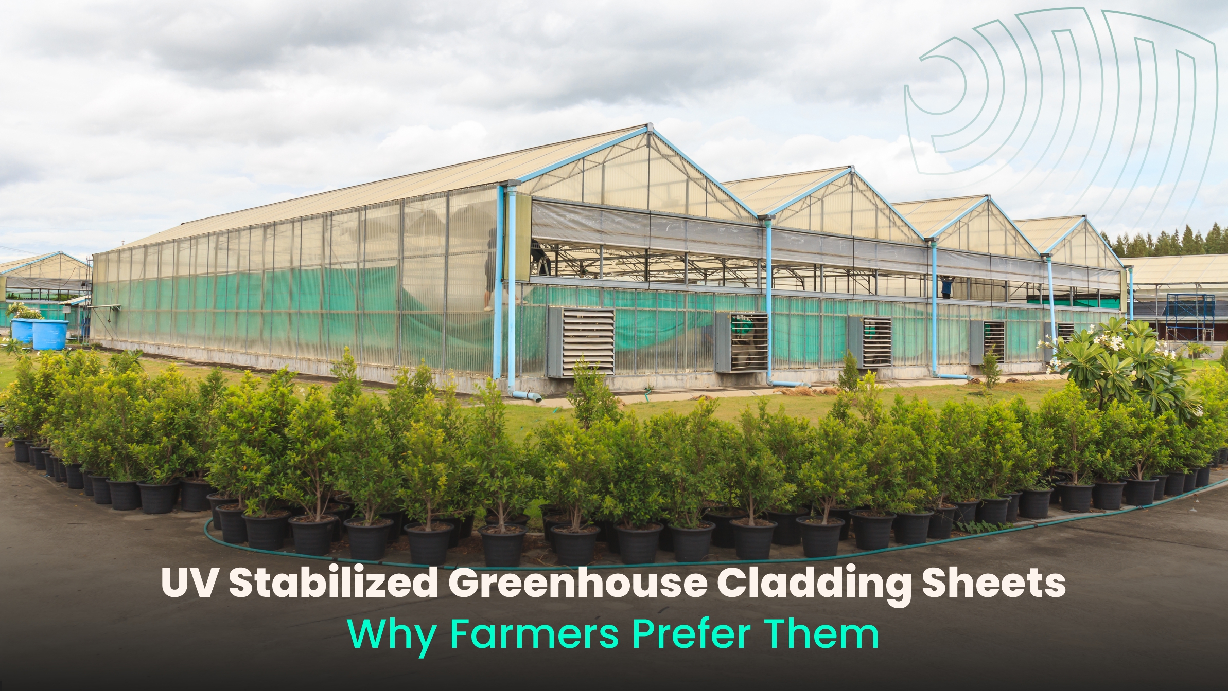 UV Stabilized Greenhouse Cladding Sheets: Why Farmers Prefer Them